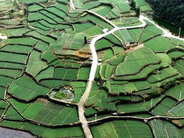潮声丨诗和远方遇上黄芪乌鸡汤，一场说走就走的“新中式旅程”