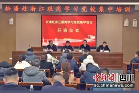 松潘县抓实抓好干部学历能力“双提升”行动图片