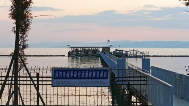 绝了！一汪清水引鱼回，美到出圈还能赚钱丨只此青绿 江山答卷