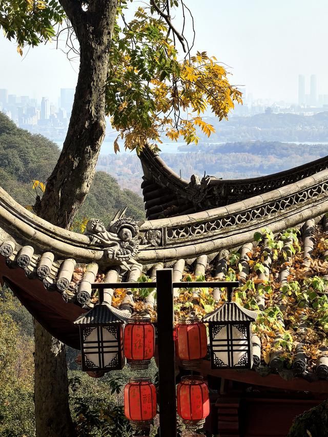 晚潮｜西湖赏枫人群中为何少了苏轼