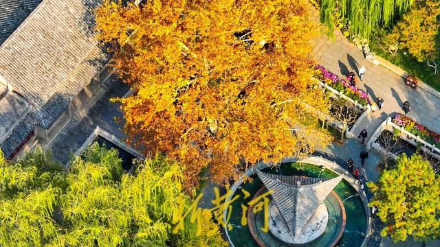 趵突泉公园开启变色模式，层林浸染触摸诗情画意