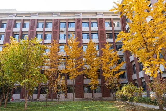 藏不住了！攒了整个秋天的北医美景，立冬前全部分享！