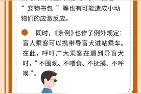 小动物能带上地铁吗？| 济南市城市轨道交通条例解读④图片