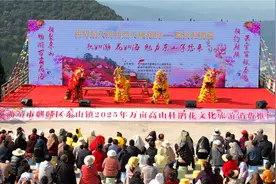 万亩杜鹃盛绽 奏响文旅欢歌——东山镇万亩高山杜鹃花文化旅游消费推广周开启图片