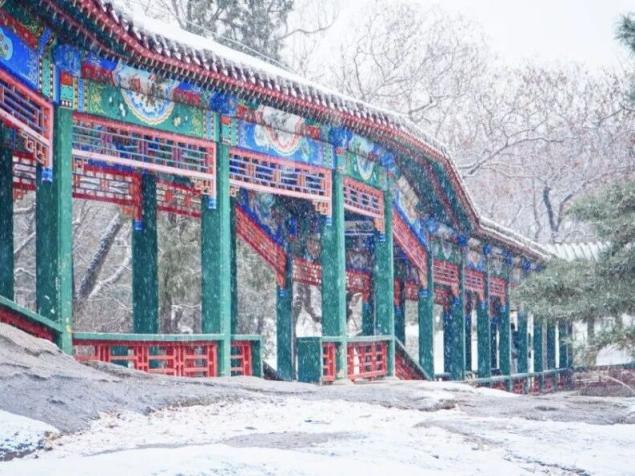 北京号最精彩 | “停车+充电”一站式服务！解锁望京南立体超充站