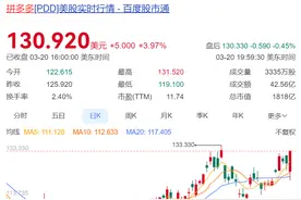 第四季度营收增速放缓，AI时代拼多多能否讲出新增长故事？图片