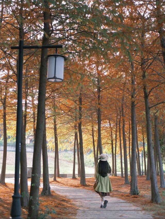 福州秋日限定浪漫已送达，附打卡点位→