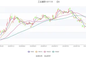 工业富联：2024年上半年净利润87.39亿元 同比增长22.04%图片