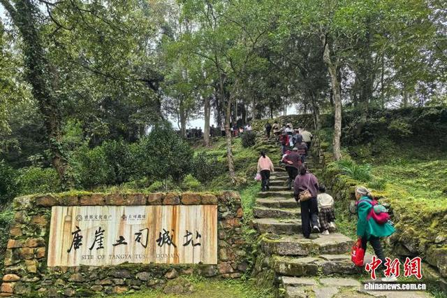 从“历史标本”到“活风景”：世遗唐崖迎蝶变