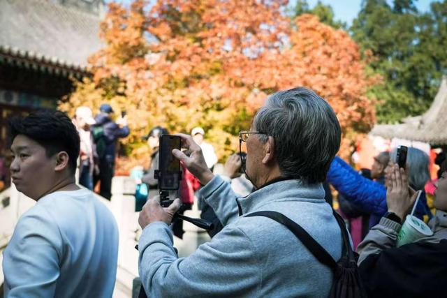 当香山红叶节邂逅重阳节，三条“银发路线”暖心上线