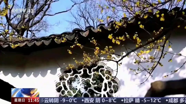 又上央视！来看这些苏式冬日美景