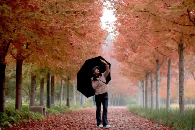 副中心的秋日画板已备好，等你来上色！