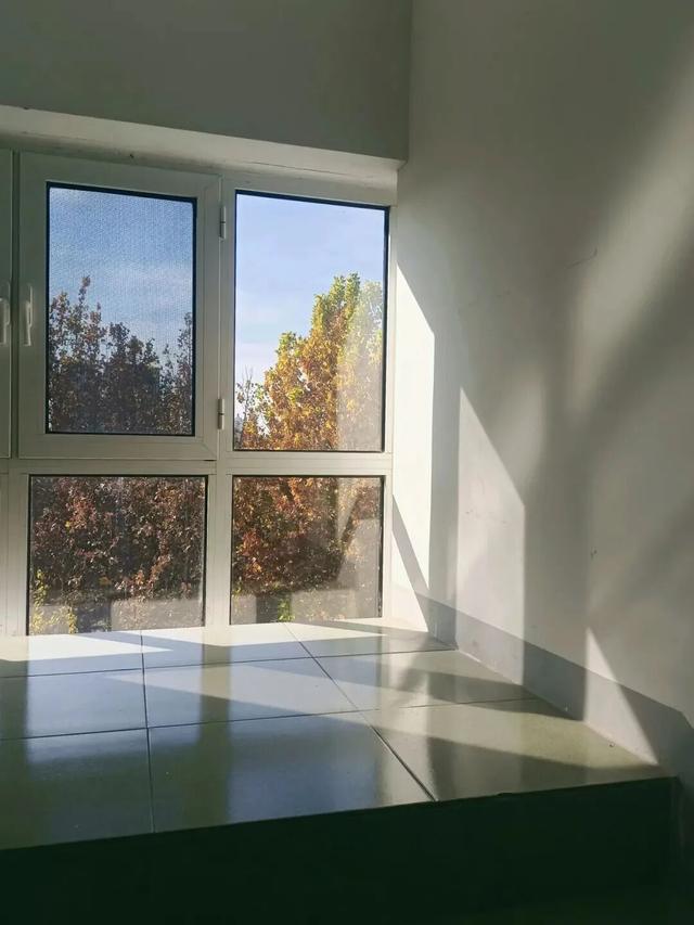 推开南开的窗，你会看到——