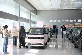 提新车，过新年！合肥蜀山区新能源汽车消费潜力持续释放图片