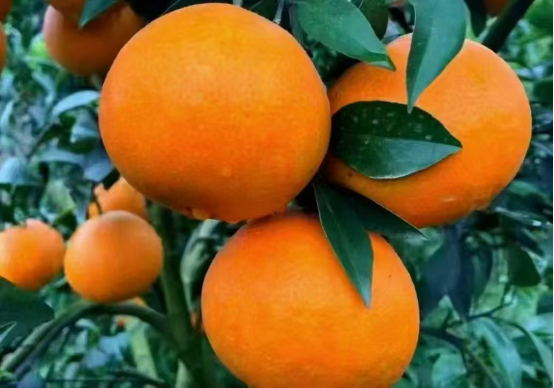 永川“留娃”去处上新→