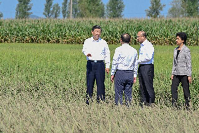 农业银行信用卡办理进程怎么查，农业银行信用卡办理进程怎么查询 配图01