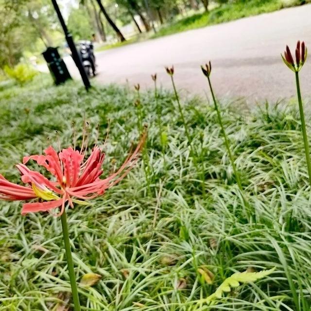 柳北烟火 | 趣游雀儿山 →赏花、娱乐、观鸟一站式攻略奉上！