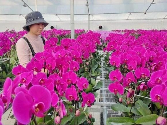 北京号最精彩 | 古刹新生！慈善寺明日重启五大主题区