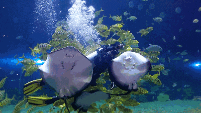 限定文旅推荐官第二弹上线!墙娃儿&砖崽崽~