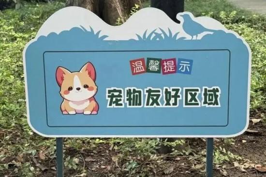 新一批宠物友好公园上线 上海踏秋遛宠增好去处