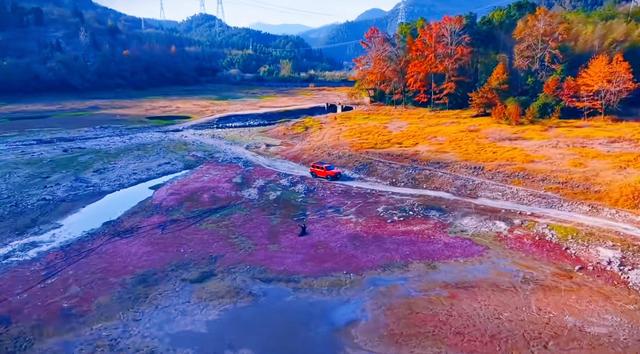 晚潮｜当蓼子花匍匐过滩涂，岁月便藏起了满地温柔