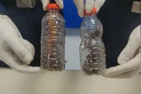 这些有毒，被查获！图片