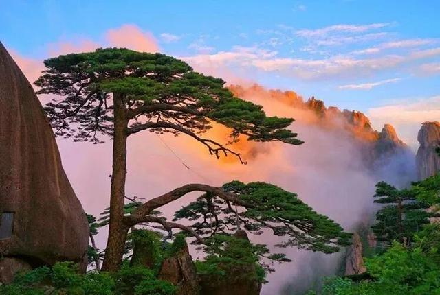 抢晚就约不上了！上海职工疗休养特惠：千禧海鸥、黄山、屏风山、沙家浜、西山！免费入住机会→