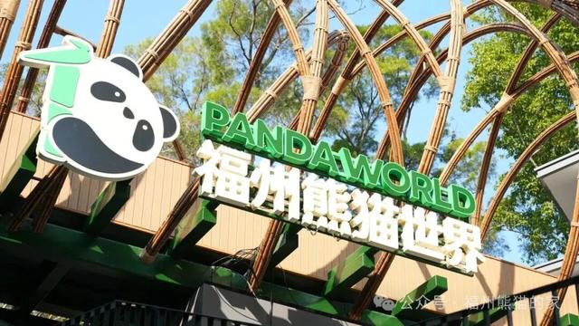 火热！超120万人次抢票！福州熊猫世界门票开售