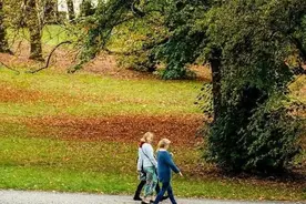 每天坚持走路的老人，身体会有4大改善！图片