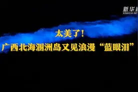 太美了！广西北海涠洲岛又见浪漫“蓝眼泪”图片