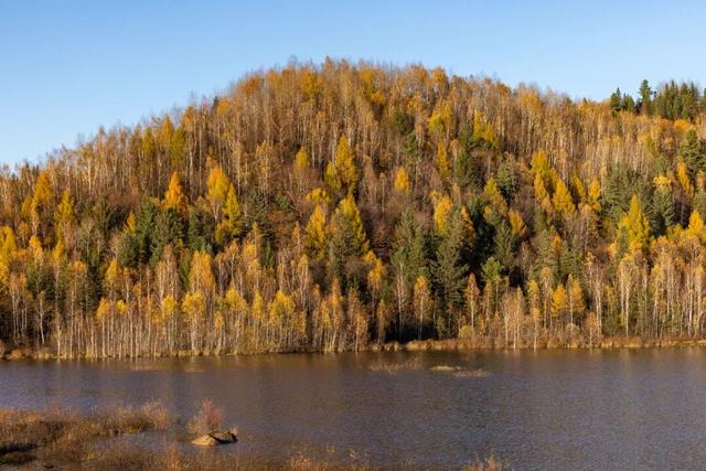 在这座东北小城，被顶级秋景暴击