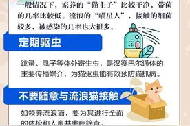 一图了然 | 反复高烧40℃、几近失明！猫抓也会致病？图片
