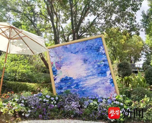 秋日南通限定美景：菊香漫城，赏花游园正当时