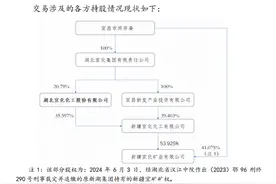 海量财经丨湖北宜化何以32亿元买回曾转让资产？图片