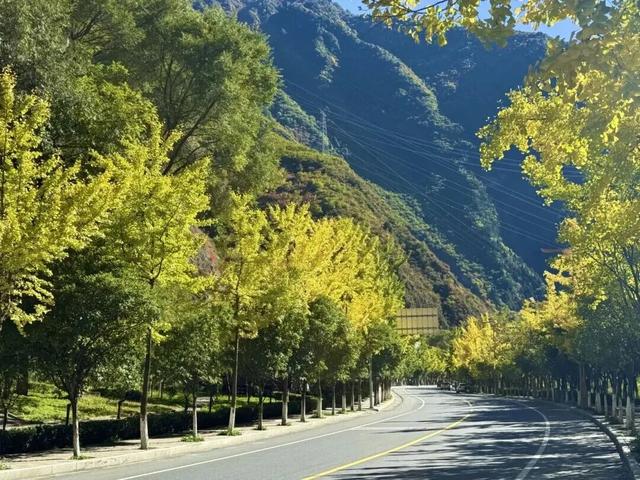 出发！来四川淘“金”