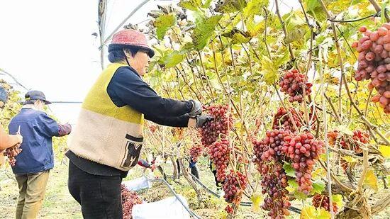 光影中的三门峡（546）