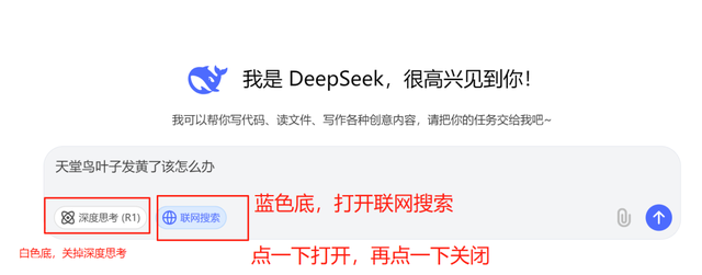 普通人的AI工具入门使用指南
