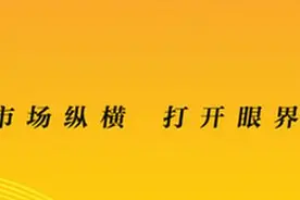 前三季度山东A股上市公司营收22073.9亿元，八成实现盈利| 大鱼财经图片