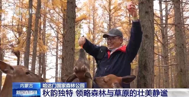 北方多地最美秋色已“上线” 一起感受浓浓秋韵