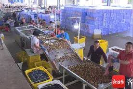 “搭乘”冷链物流 琼海荔枝快速运送至全国各地图片