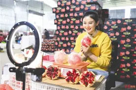 空姐辞职回凉山卖石榴走红 “石榴姐”：我就是普通家庭一步步打拼出来的图片