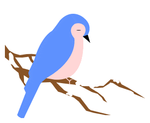 【跟着戏剧游凉山】以戏剧为媒，探凉山之美（南线剧场）