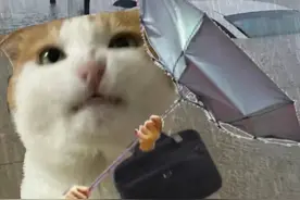 刚刚，上海发布五预警！图片