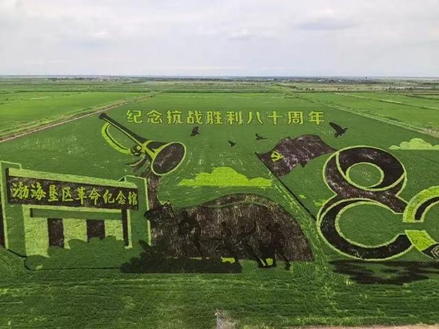 绿洲时评丨东营以文旅之笔  绘就“双节”多彩画卷