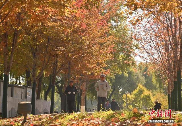 吉林长春秋景如画 市民踏叶赏秋