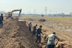 安阳市殷都区水冶镇：山药迎丰收 铺就致富新路径图片