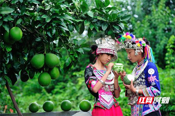 靖州，藏在山水间的“精神原乡”