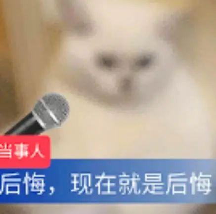 把AI当巴菲特的人，坟头草都三米高了？