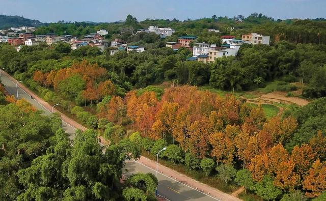 WOW，柳州超多赏秋打卡地，随手出大片！