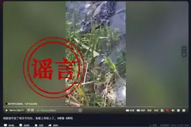 “洞庭湖可钓区发现鳄鱼”？造谣人员被批评教育！图片